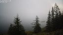 ./images/quadra/bluff/20231205/bluff20231205_095001M.jpg