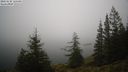./images/quadra/bluff/20231218/bluff20231218_124001M.jpg