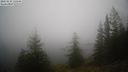 ./images/quadra/bluff/20231218/bluff20231218_130001M.jpg