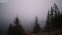 ./images/quadra/bluff/20241204/bluff20241204_073009M.jpg