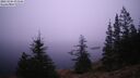 ./images/quadra/bluff/20241204/bluff20241204_073507M.jpg