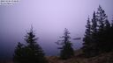 ./images/quadra/bluff/20241204/bluff20241204_074009M.jpg