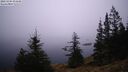 ./images/quadra/bluff/20241204/bluff20241204_074508M.jpg