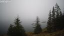 ./images/quadra/bluff/20241204/bluff20241204_075509M.jpg