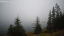 ./images/quadra/bluff/20241204/bluff20241204_081010M.jpg