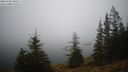 ./images/quadra/bluff/20241204/bluff20241204_081511M.jpg