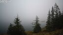 ./images/quadra/bluff/20241204/bluff20241204_082009M.jpg