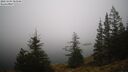 ./images/quadra/bluff/20241204/bluff20241204_083009M.jpg