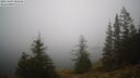 ./images/quadra/bluff/20241204/bluff20241204_083508M.jpg