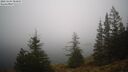 ./images/quadra/bluff/20241204/bluff20241204_084008M.jpg