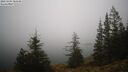 ./images/quadra/bluff/20241204/bluff20241204_084509M.jpg