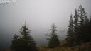 ./images/quadra/bluff/20241204/bluff20241204_085009M.jpg