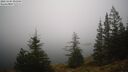 ./images/quadra/bluff/20241204/bluff20241204_090010M.jpg