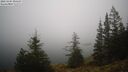 ./images/quadra/bluff/20241204/bluff20241204_090508M.jpg