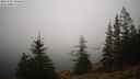 ./images/quadra/bluff/20241204/bluff20241204_091009M.jpg