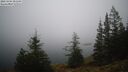 ./images/quadra/bluff/20241204/bluff20241204_091509M.jpg