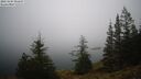 ./images/quadra/bluff/20241204/bluff20241204_092508M.jpg
