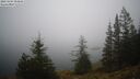 ./images/quadra/bluff/20241204/bluff20241204_094008M.jpg