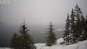 ./images/quadra/bluff/20250203/bluff20250203_084009M.jpg