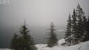 ./images/quadra/bluff/20250203/bluff20250203_084509M.jpg