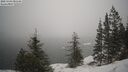 ./images/quadra/bluff/20250203/bluff20250203_085509M.jpg