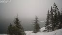 ./images/quadra/bluff/20250203/bluff20250203_090509M.jpg