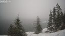 ./images/quadra/bluff/20250203/bluff20250203_092009M.jpg