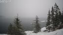 ./images/quadra/bluff/20250203/bluff20250203_095507M.jpg