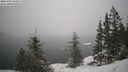./images/quadra/bluff/20250203/bluff20250203_104509M.jpg