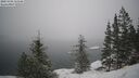 ./images/quadra/bluff/20250203/bluff20250203_113508M.jpg