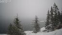 ./images/quadra/bluff/20250203/bluff20250203_114508M.jpg