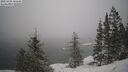 ./images/quadra/bluff/20250203/bluff20250203_115508M.jpg