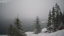 ./images/quadra/bluff/20250203/bluff20250203_120509M.jpg