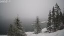 ./images/quadra/bluff/20250203/bluff20250203_133010M.jpg