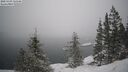 ./images/quadra/bluff/20250203/bluff20250203_133508M.jpg