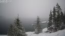 ./images/quadra/bluff/20250203/bluff20250203_134510M.jpg