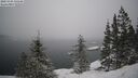 ./images/quadra/bluff/20250203/bluff20250203_135508M.jpg