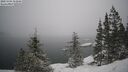 ./images/quadra/bluff/20250203/bluff20250203_152009M.jpg
