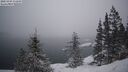 ./images/quadra/bluff/20250203/bluff20250203_171009M.jpg