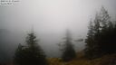 ./images/quadra/bluff/20250325/bluff20250325_075009M.jpg