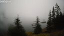 ./images/quadra/bluff/20250325/bluff20250325_091009M.jpg