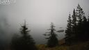 ./images/quadra/bluff/20250325/bluff20250325_091508M.jpg