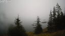 ./images/quadra/bluff/20250325/bluff20250325_092009M.jpg