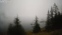 ./images/quadra/bluff/20250325/bluff20250325_093009M.jpg