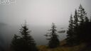 ./images/quadra/bluff/20250325/bluff20250325_095009M.jpg