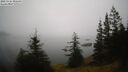 ./images/quadra/bluff/20250325/bluff20250325_095509M.jpg