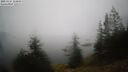 ./images/quadra/bluff/20250325/bluff20250325_104010M.jpg