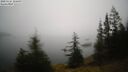 ./images/quadra/bluff/20250325/bluff20250325_105009M.jpg