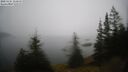 ./images/quadra/bluff/20250325/bluff20250325_111010M.jpg