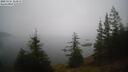 ./images/quadra/bluff/20250325/bluff20250325_113010M.jpg